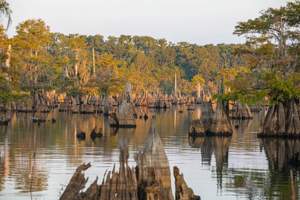 Dead Lakes in Wewahitchka